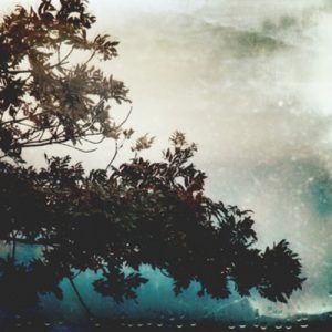 swaying